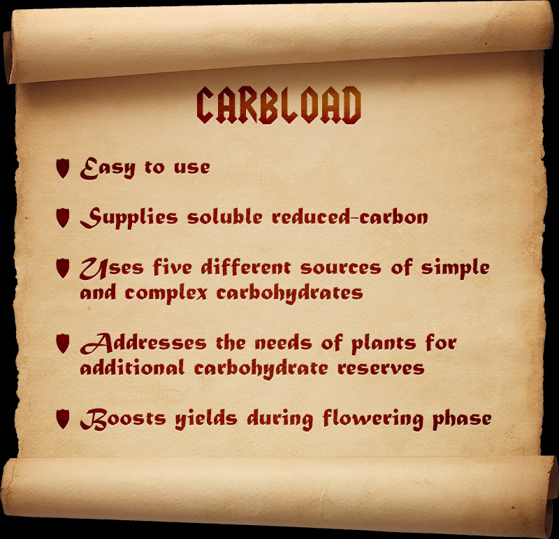 scroll.carbload.2