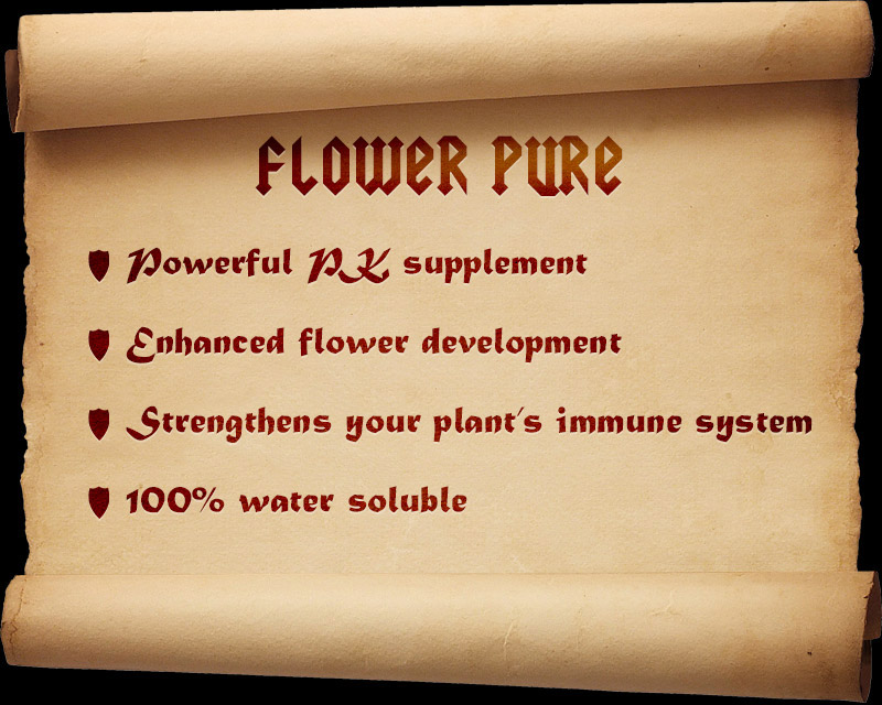 scroll.flowerpure.3